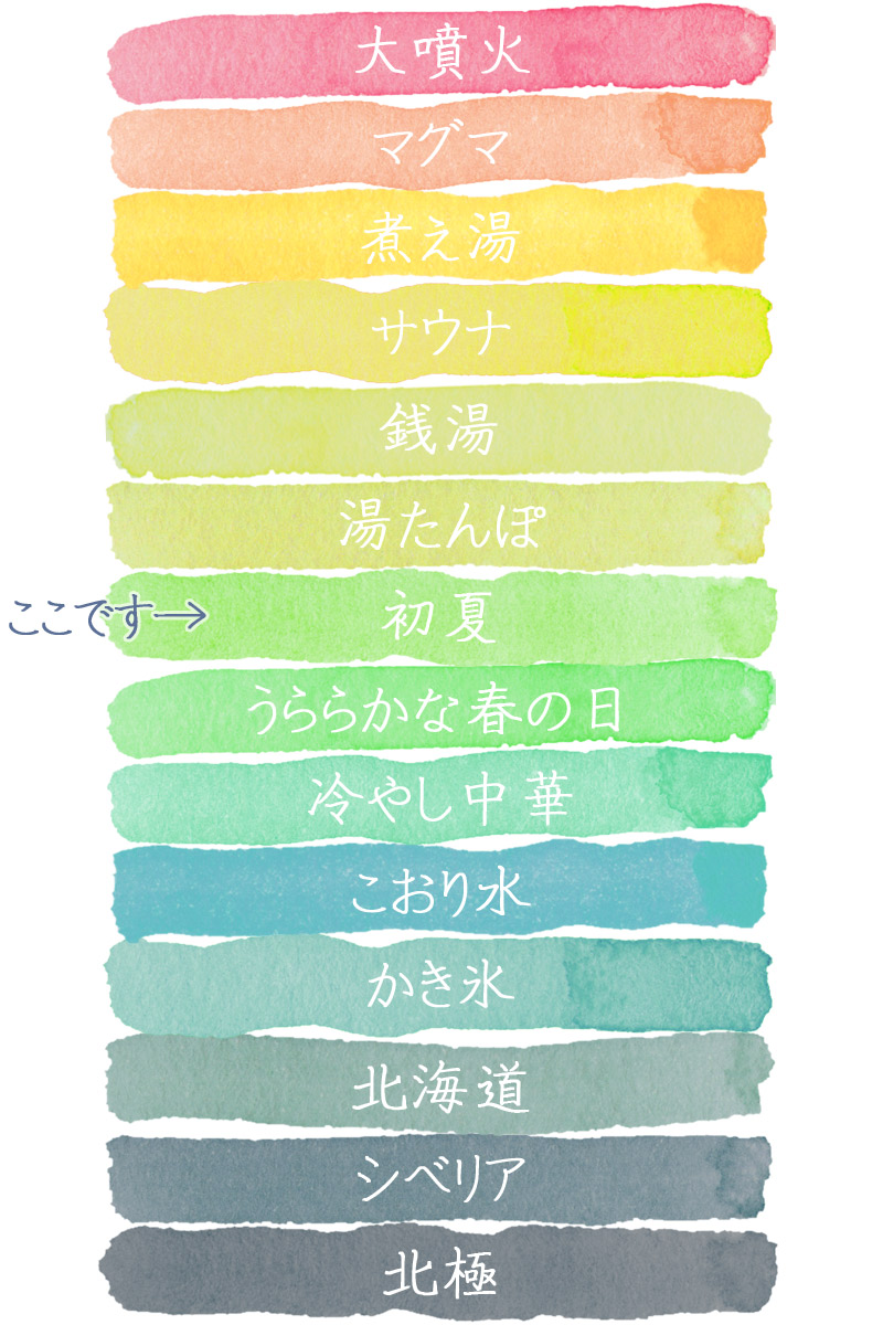 好き度ランク